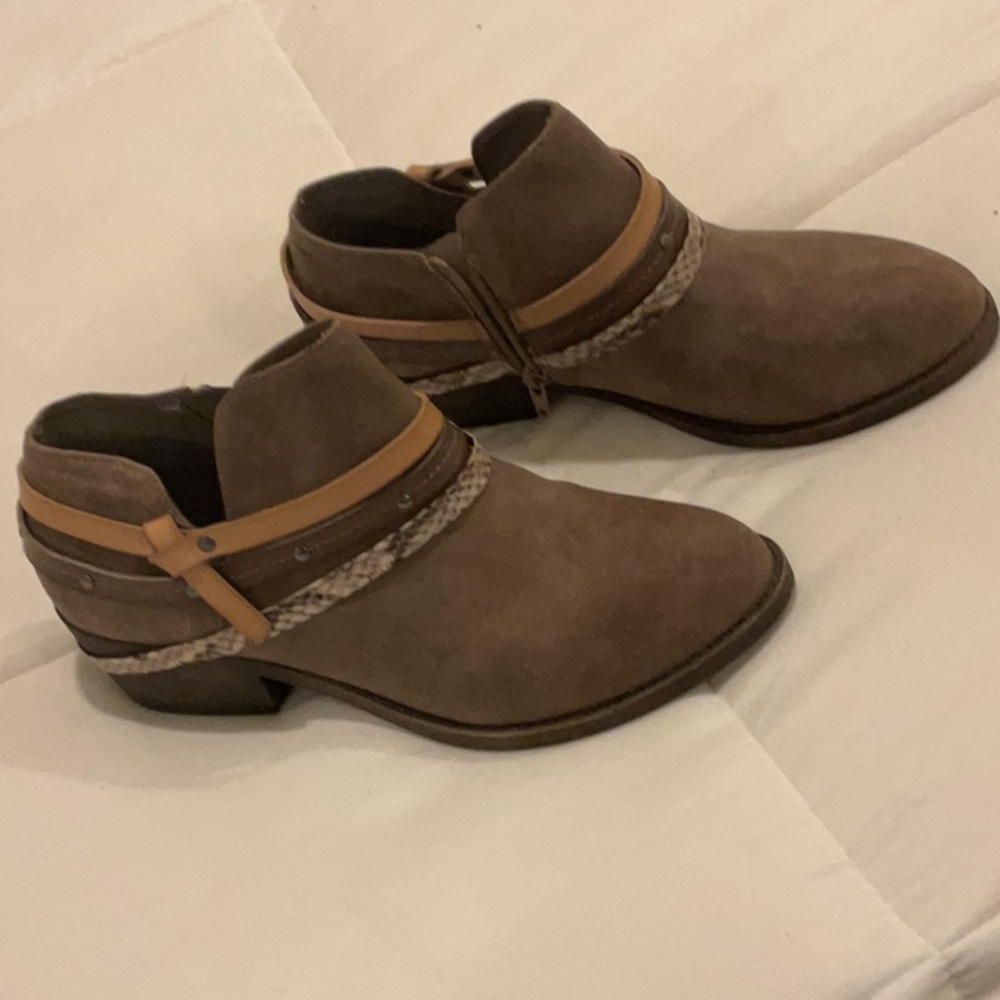 Jellypop Brown and Tan Ankle Booties